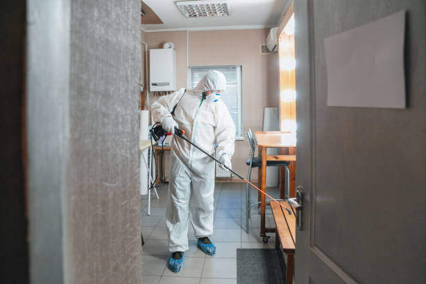 Best Attic Mold Removal  in Raleigh Hills, OR