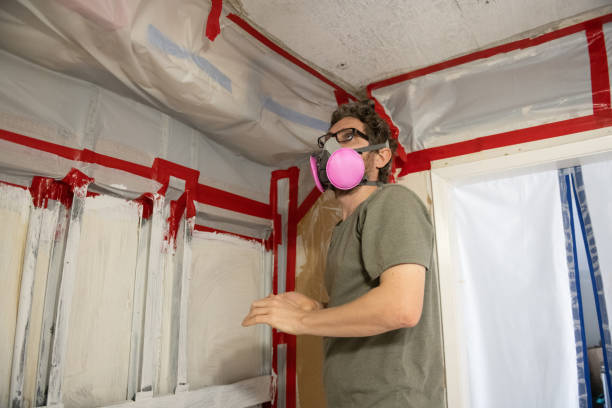 Best Black Mold Removal  in Raleigh Hills, OR