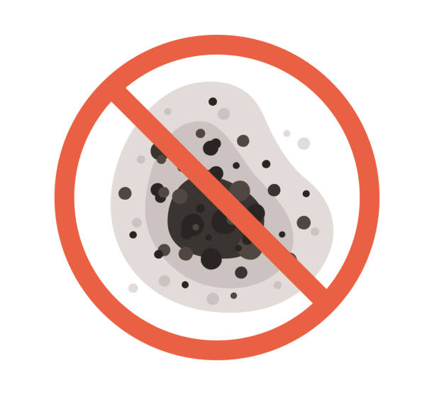 Best Indoor Air Quality Assessment  in Raleigh Hills, OR
