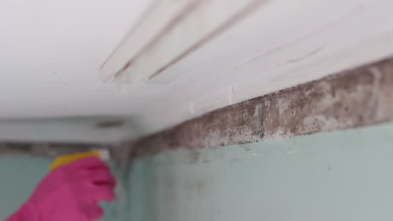 Best Commercial Mold Inspection  in Raleigh Hills, OR